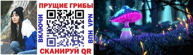 Галлюциногенные грибы Psilocybe наркота ОМГ ОМГ рабочий сайт Дыгулыбгей